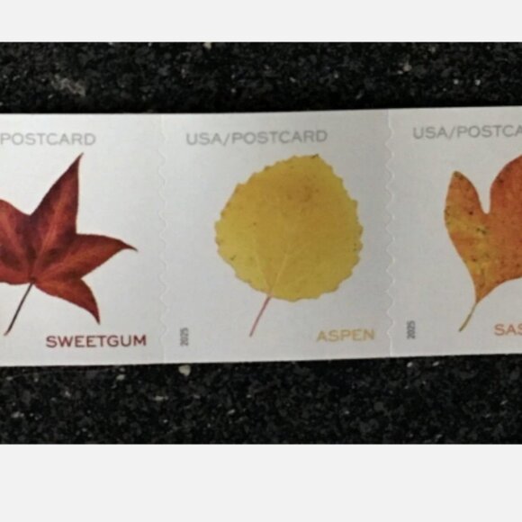 2025 USA Postcard Forever Rate Vibrant Leaves - 1000 Stamp - Picture 3 of 4